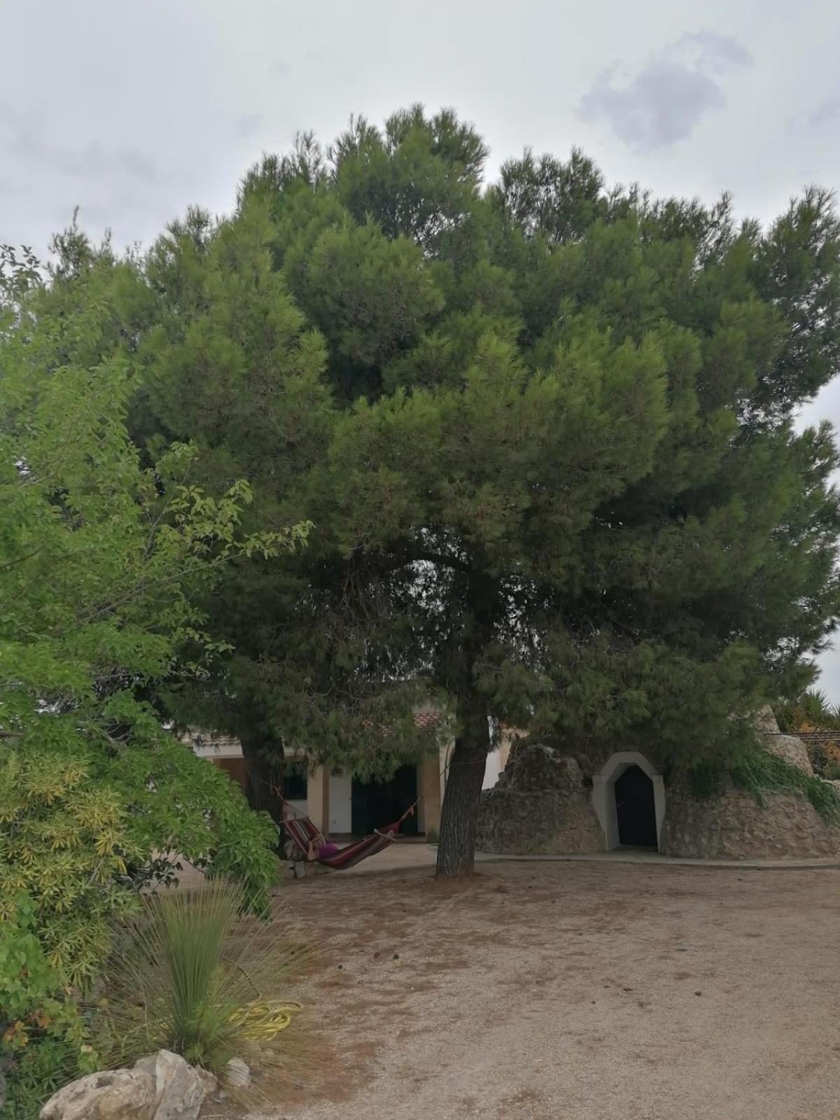 Villa Principe Degli Olivi Maruggio Bagian luar foto